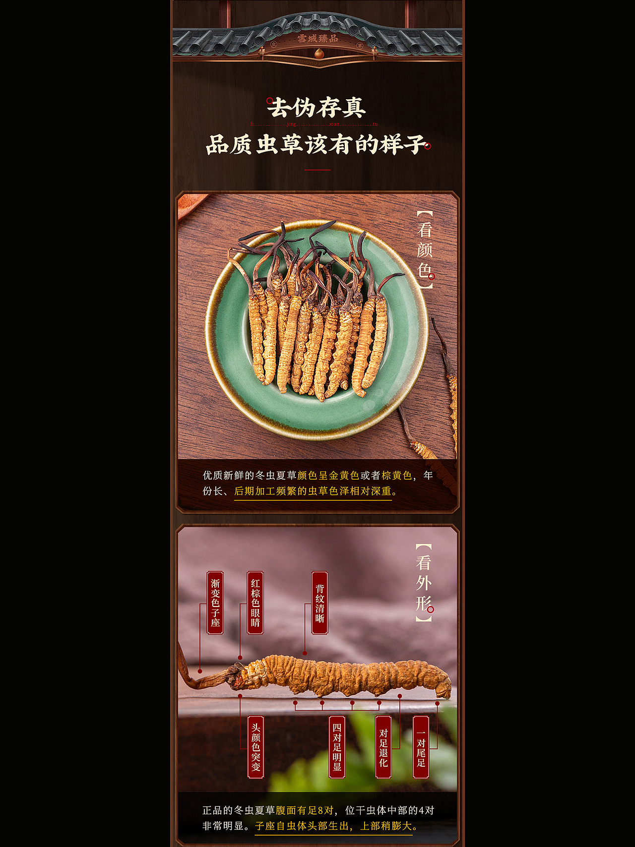 冬虫夏草详情页|虫草详情页|虫草|滋补品|滋补品详情页