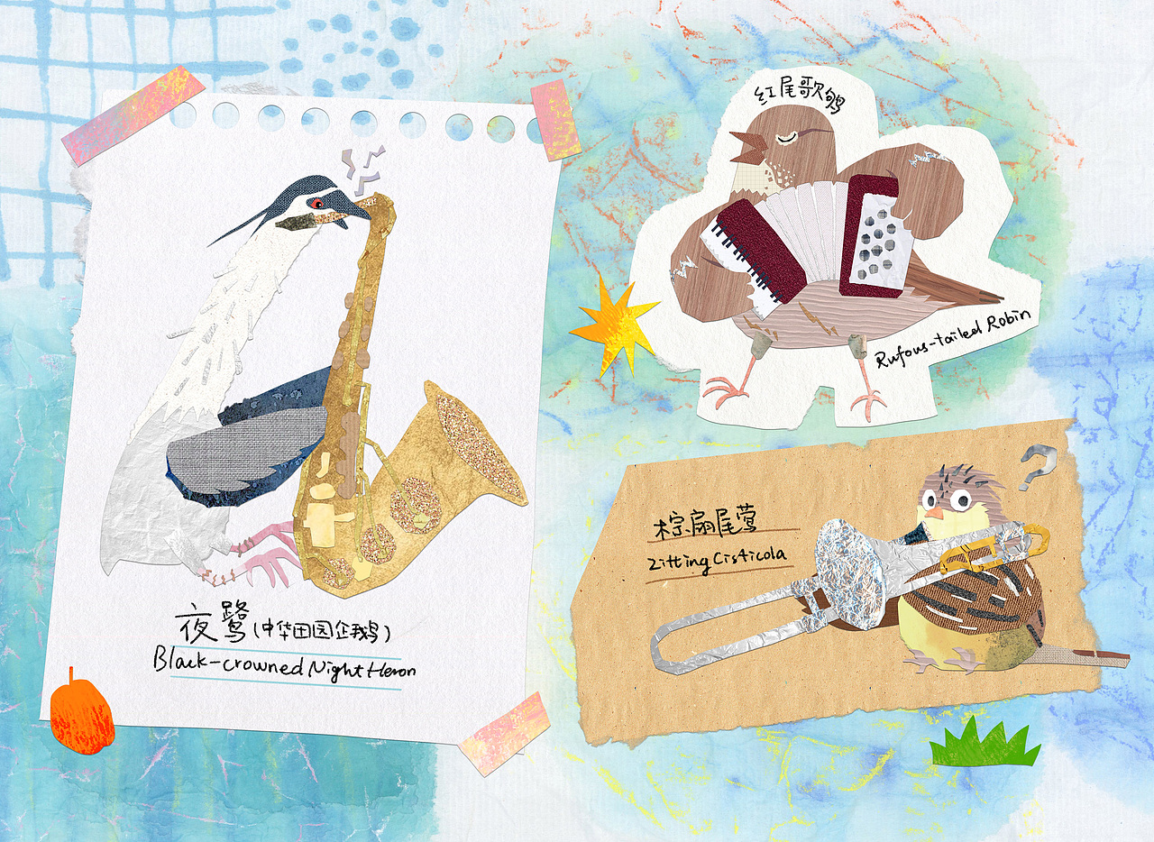 小鸟乐团Little Bird Orchestra