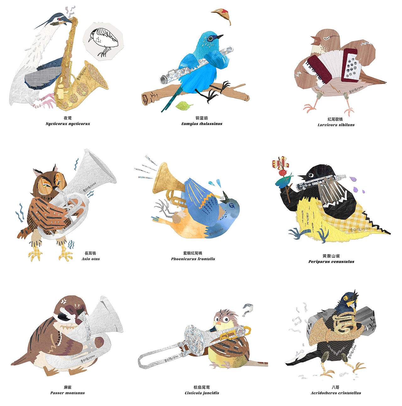 小鸟乐团Little Bird Orchestra