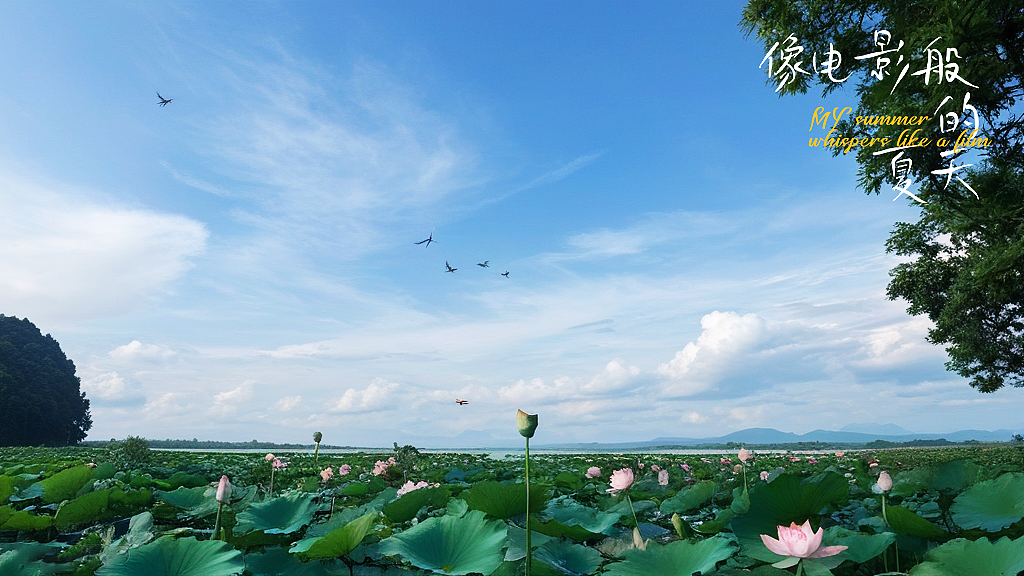 迷失这一季，夏日的天空（图ZMzc1NjQ1MzE2） - 风光摄影 - 站酷设计师小猪品牌设计原创素材 - 站酷ZCOOL
