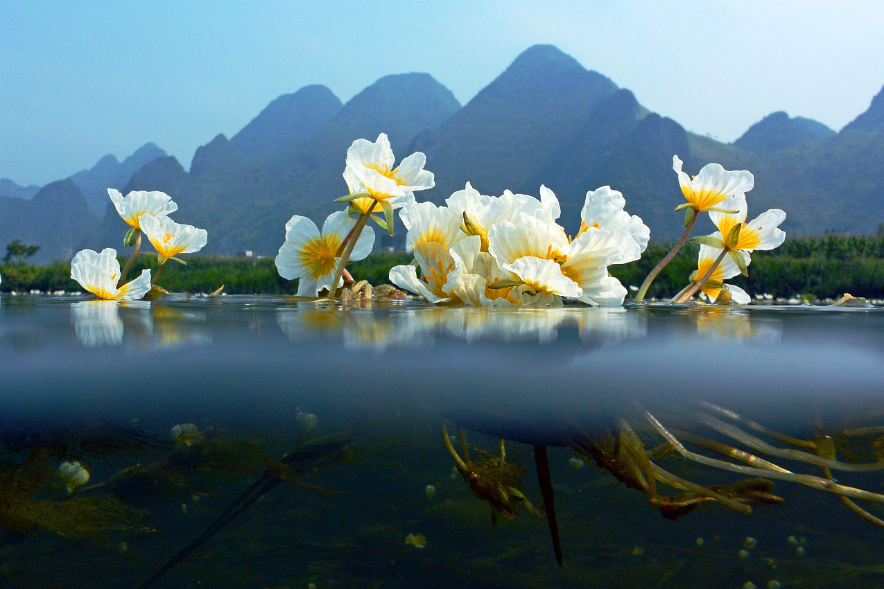 超实用！10招教你精进摄影构图艺术！（图ZMzc1NjQ3NDU2） - 其他摄影 - 站酷设计师西安王老师摄影原创素材 - 站酷ZCOOL