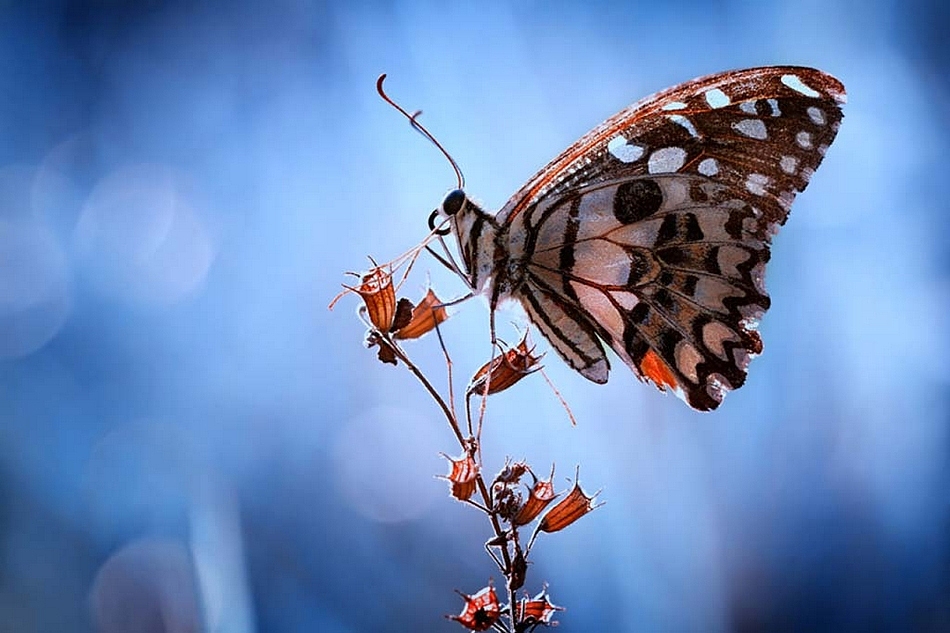 超实用！10招教你精进摄影构图艺术！（图ZMzc1NjQ3NDc2） - 其他摄影 - 站酷设计师西安王老师摄影原创素材 - 站酷ZCOOL