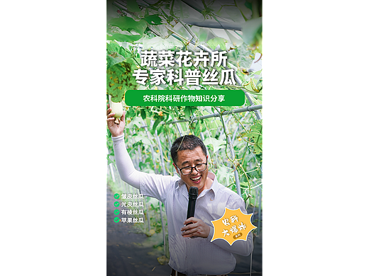 重庆市农科院专家科普视频-丝瓜专家