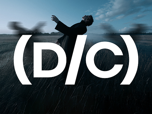 双重选择丨新锐潮牌品牌全案设计