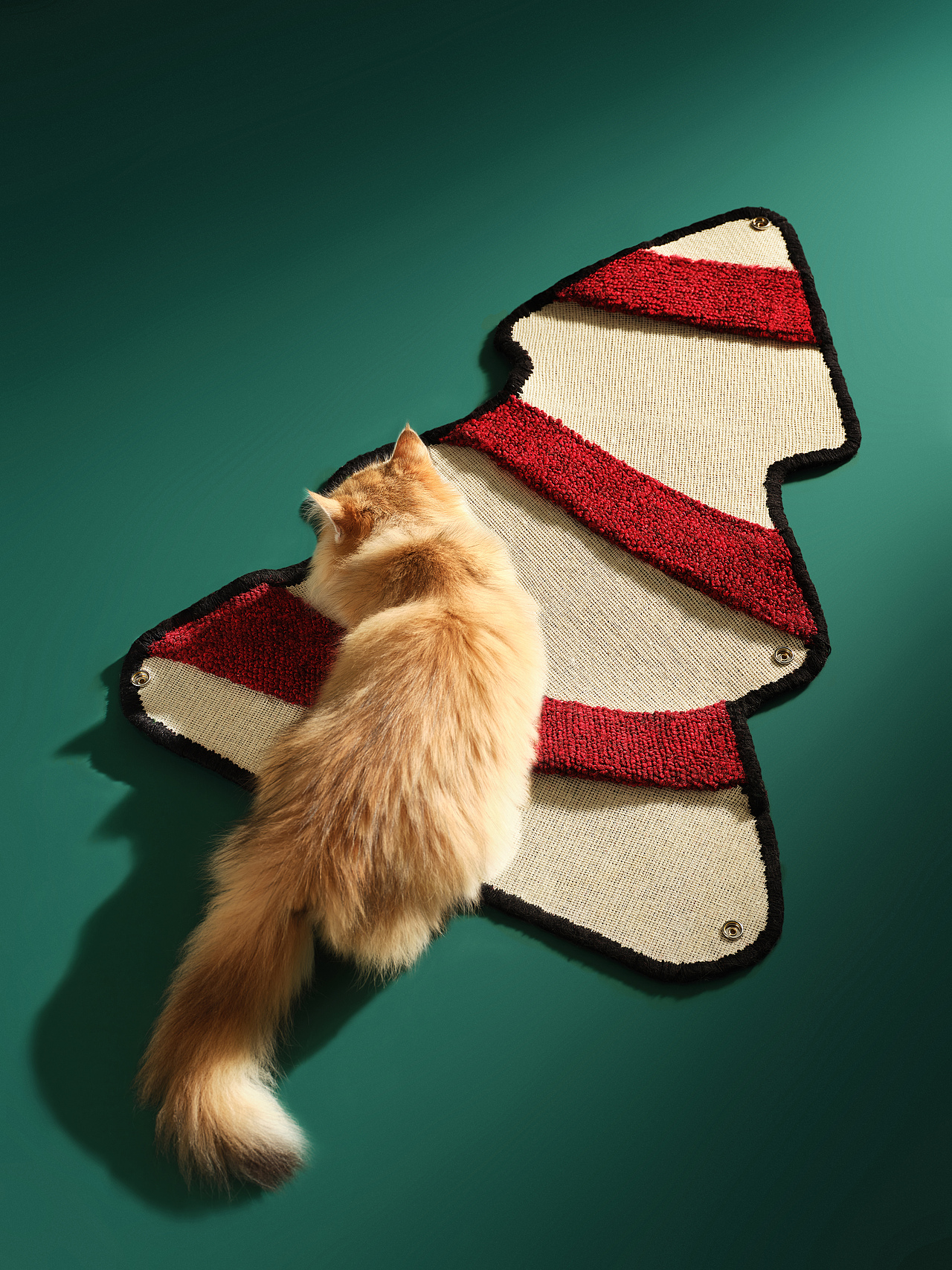 猫抓板 | Urpet × Box Studio（图ZMzc1NzMyNTg4） - 宠物摄影 - 站酷设计师BoxStudio原创素材 - 站酷ZCOOL