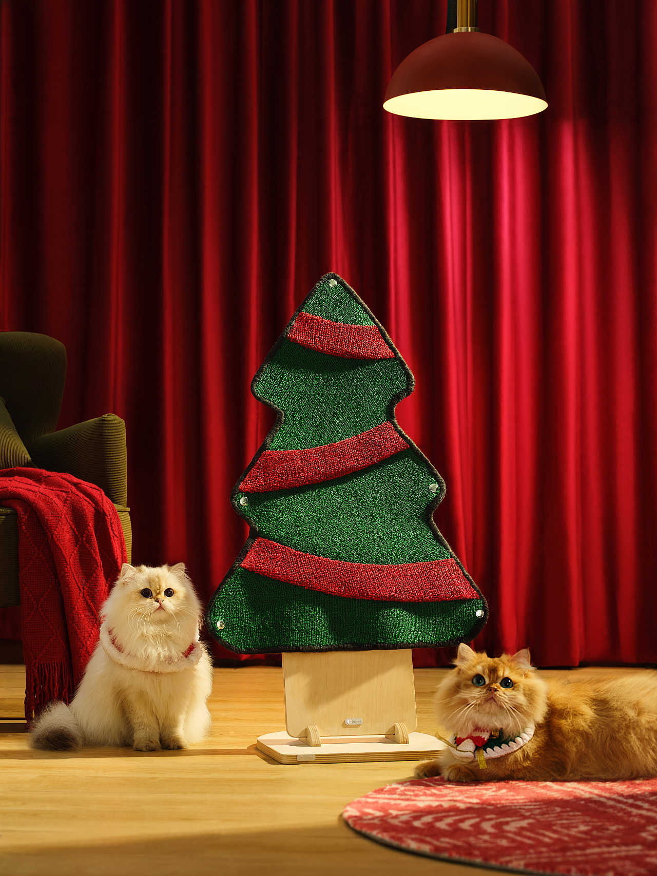 猫抓板 | Urpet × Box Studio（图ZMzc1NzMyNjAw） - 宠物摄影 - 站酷设计师BoxStudio原创素材 - 站酷ZCOOL