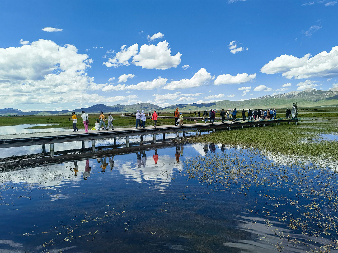 【若尔盖花湖】