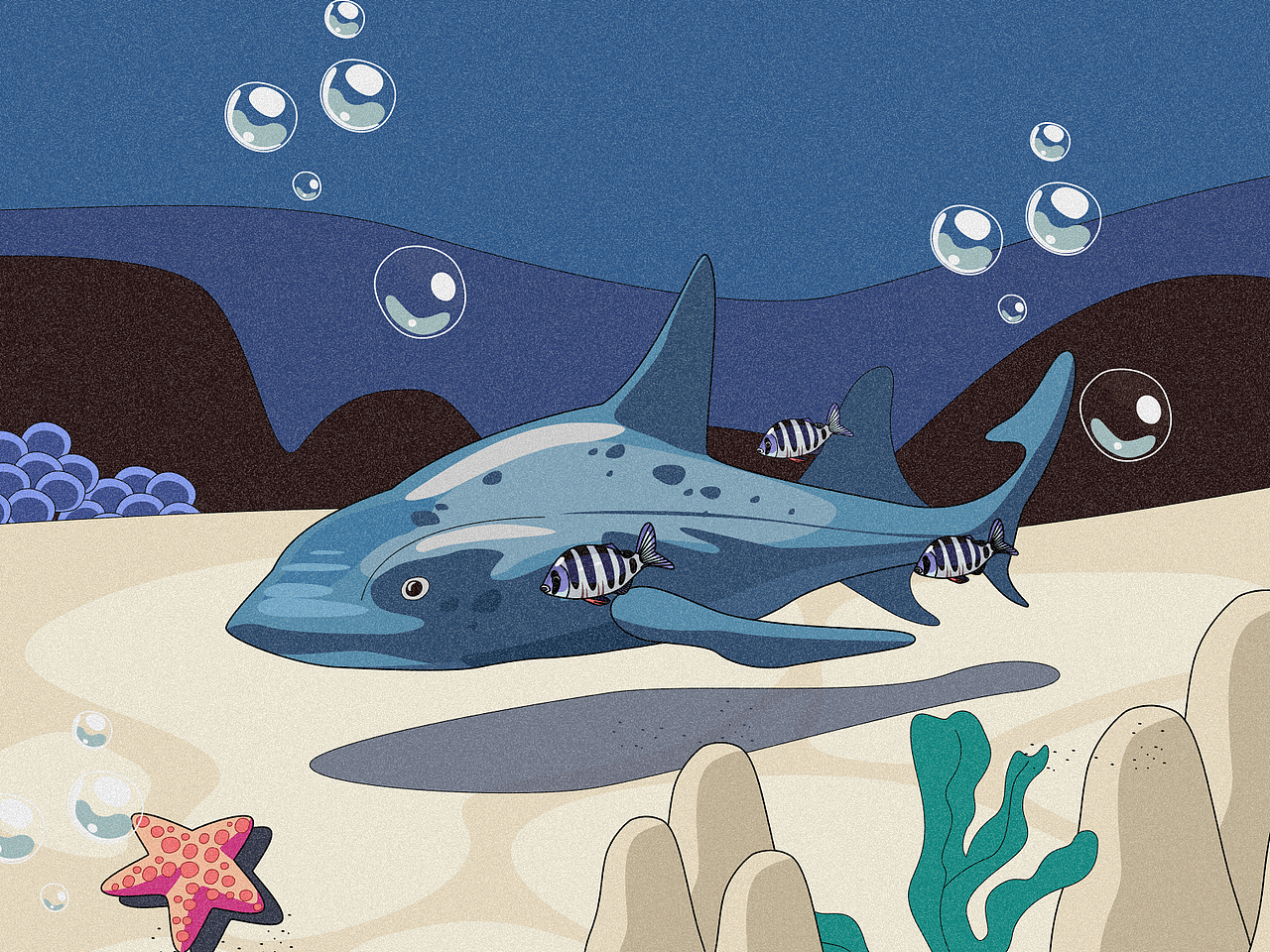 海底世界Undersea illustrations