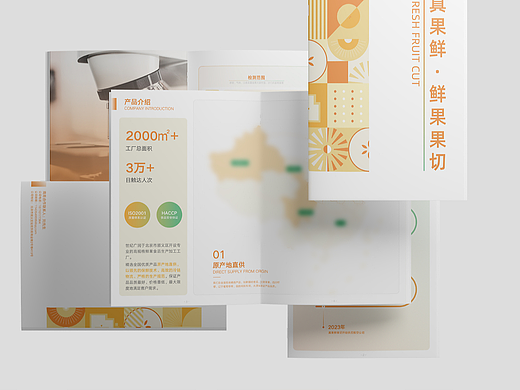真果鲜项目产品手册