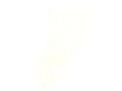 个人短视频作品