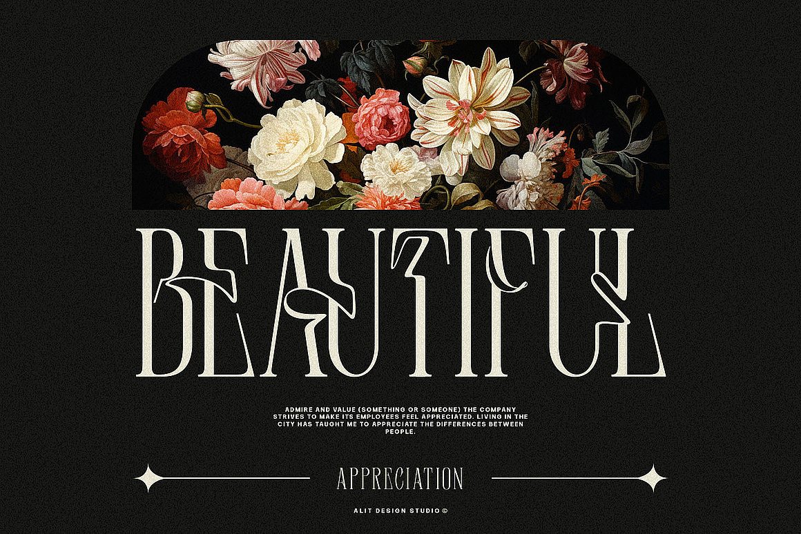 复古宫廷优雅时尚画册海报请柬封面标题衬线英文字体