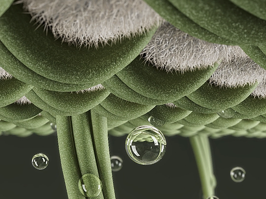 N.E.W.S. RESEARCH 杻石 团队制作 CG动画 渲染设计