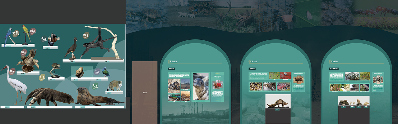国家自然博物馆-部分平面设计