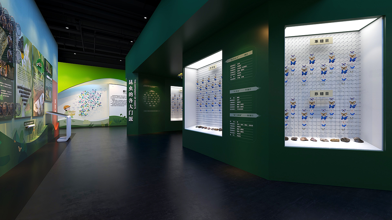 国家自然博物馆-部分平面设计