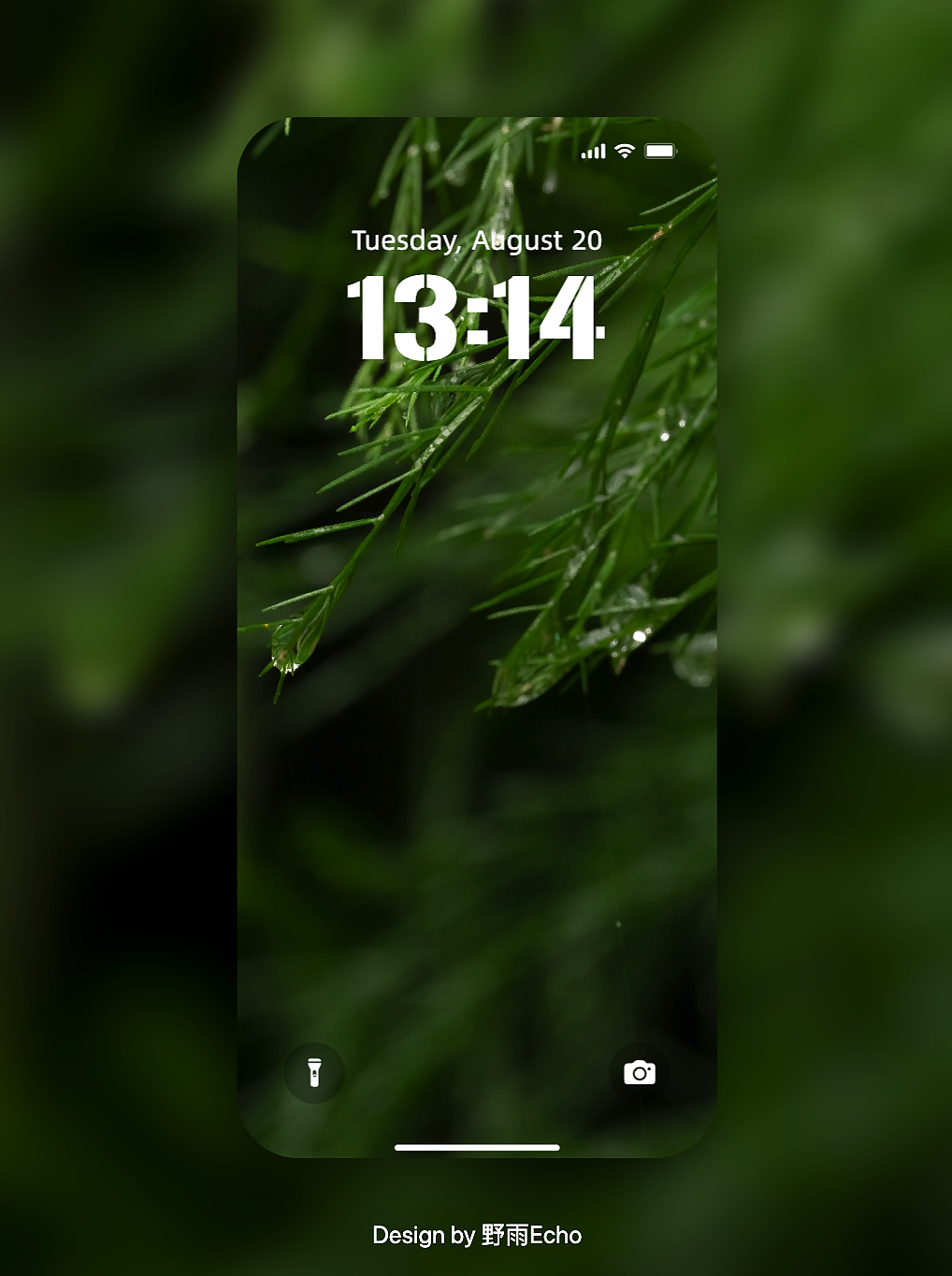 摄影作品做成壁纸第一弹——绿色