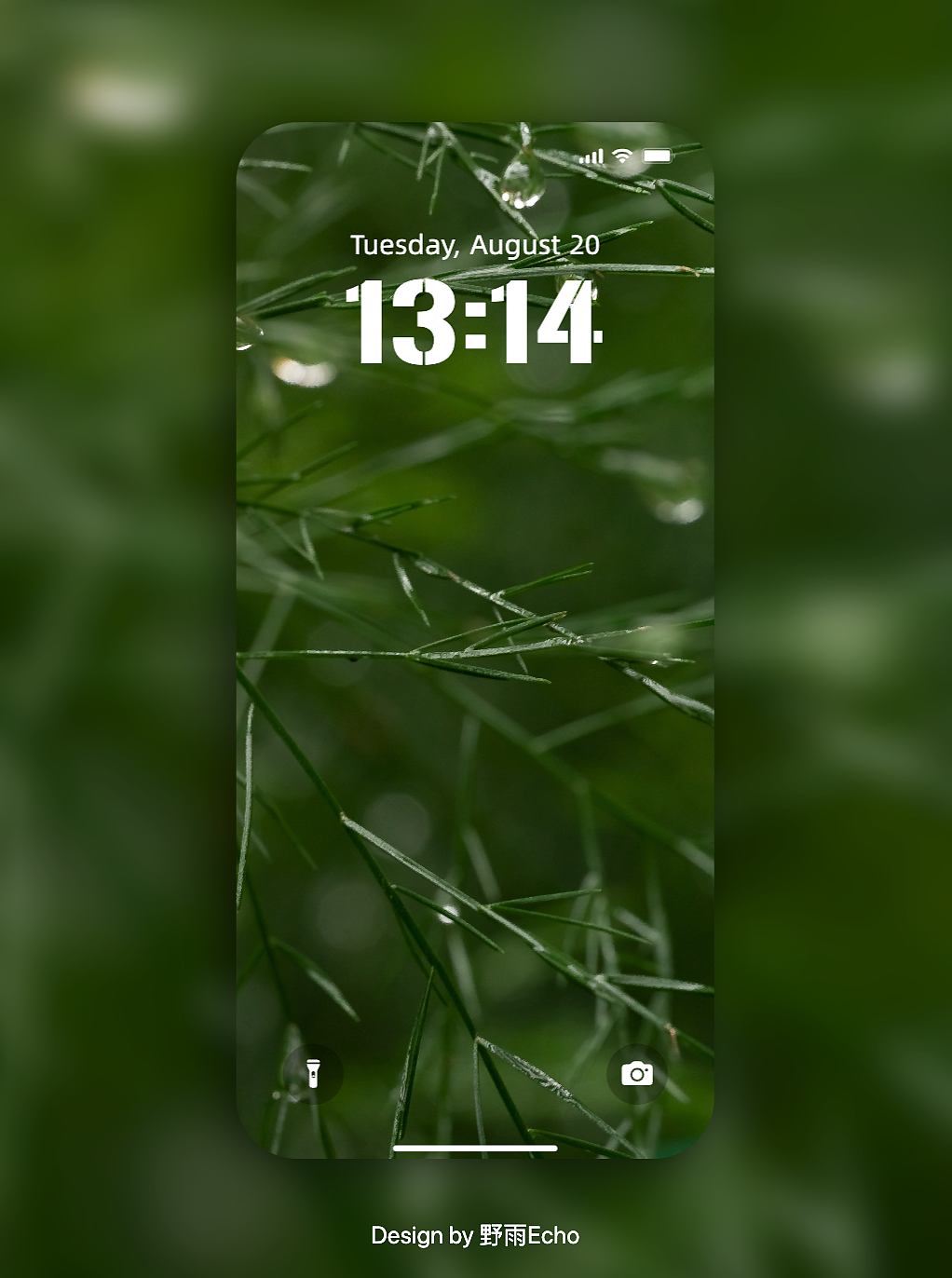 摄影作品做成壁纸第一弹——绿色