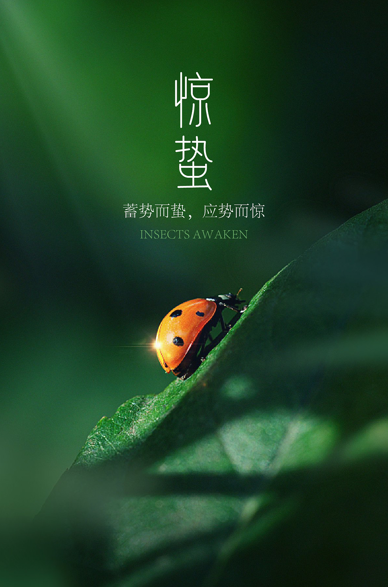 字体设计 逐浪派对