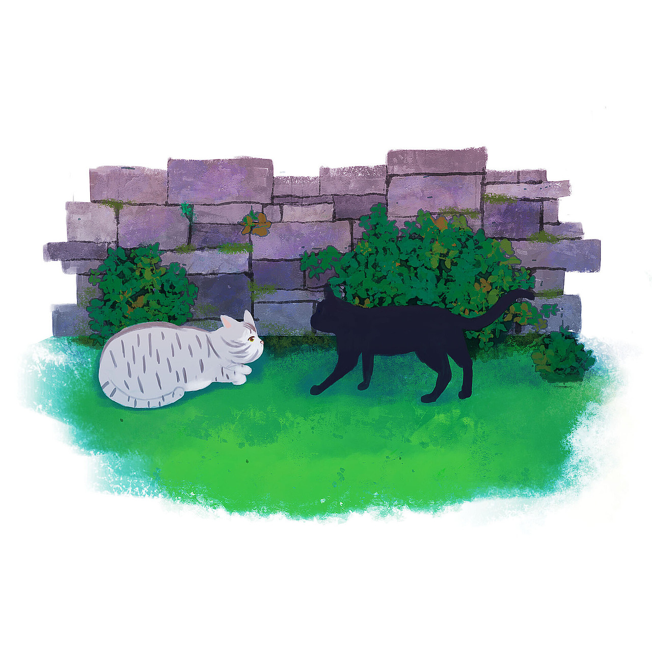 一组关于猫猫的插图