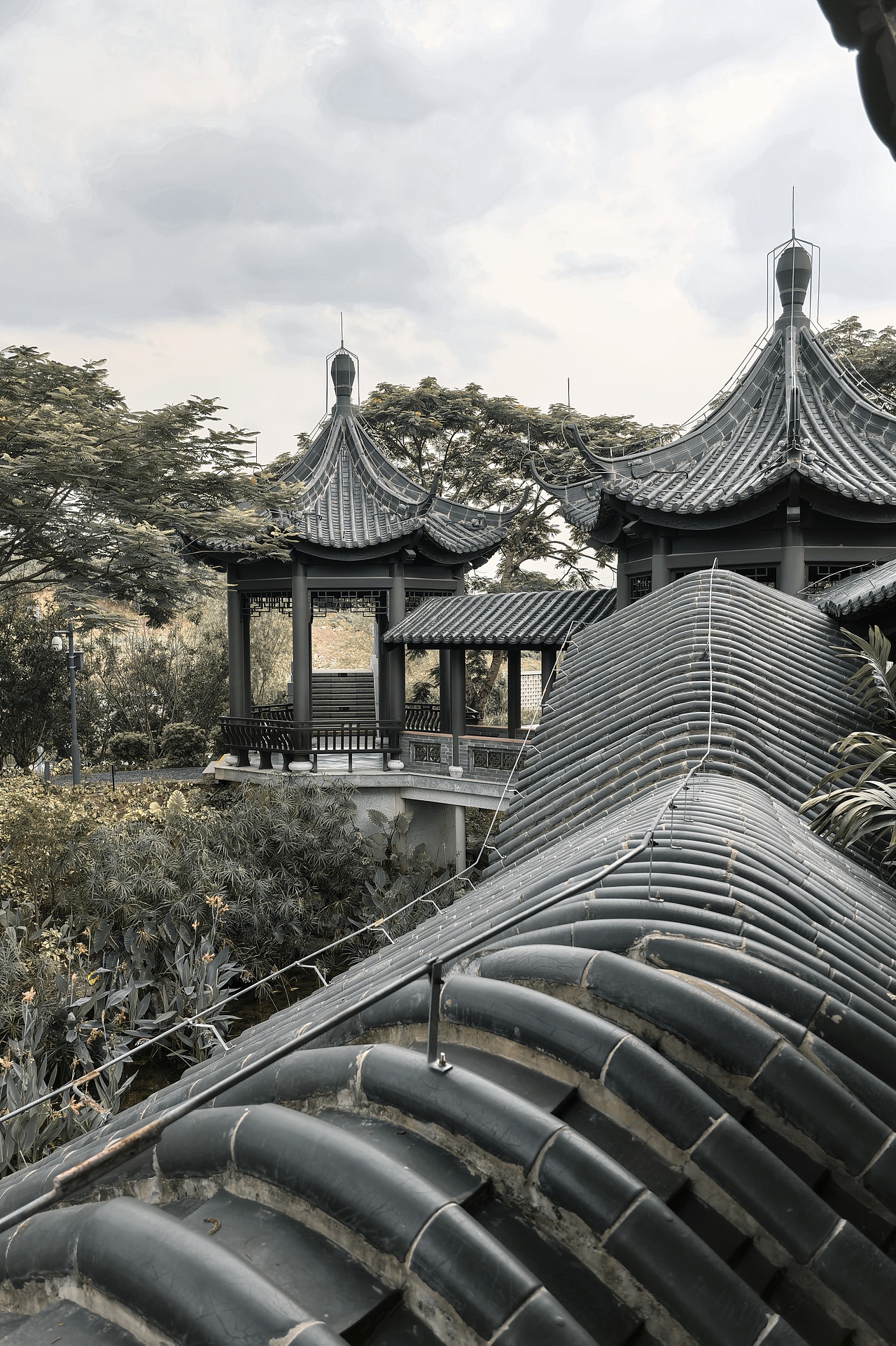 广州文化馆一日游-手机摄影（图ZMzc1Nzk2NDUy） - 环境/建筑摄影 - 站酷设计师一条江原创素材 - 站酷ZCOOL