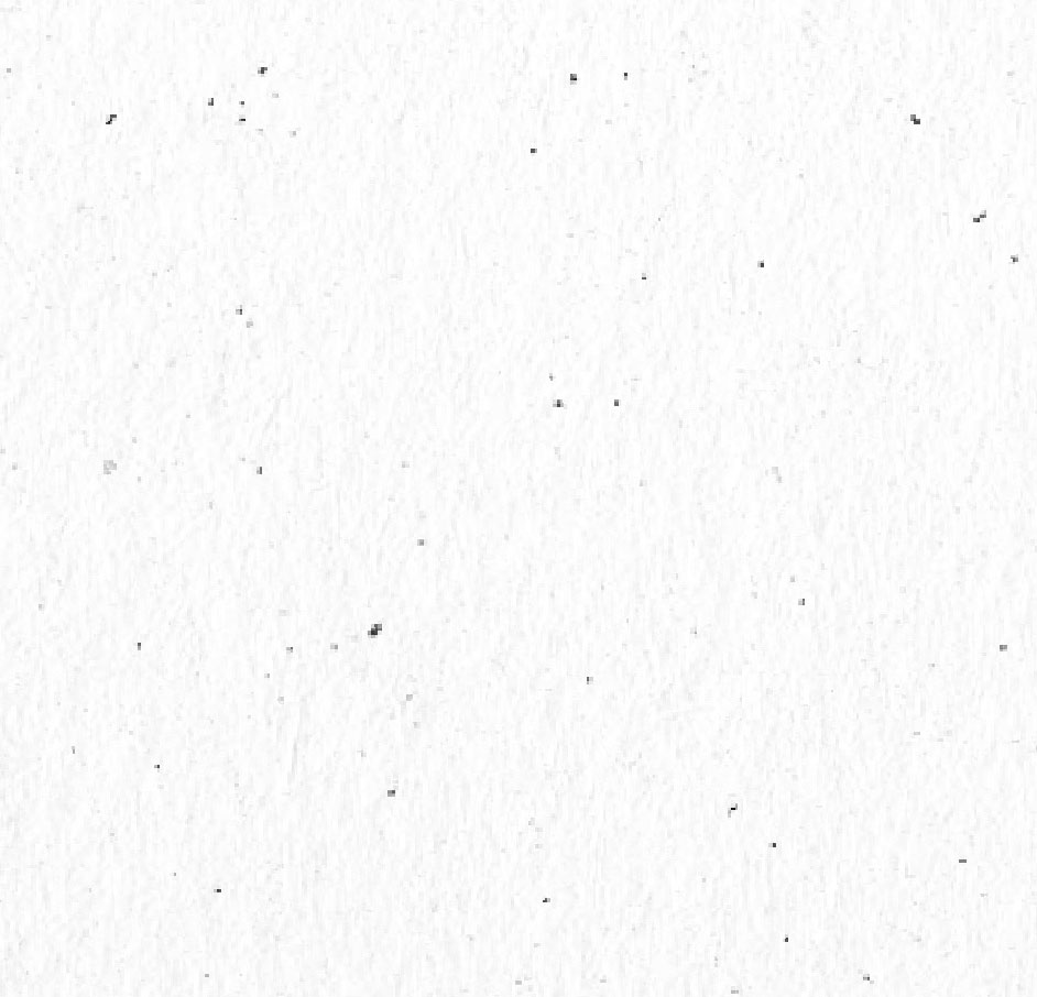 lemao的個人主頁（背景預覽） - 主頁背景設置 - 站酷設計師lemao原創(chuàng)素材 - 站酷ZCOOL