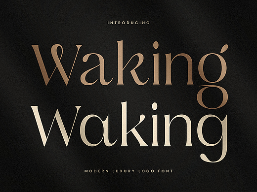 高级经典优雅奢侈品广告画册请柬包装标题衬线英文字体