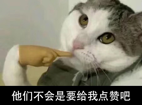 2024鸡斯卡年中盛典三维设计（图ZMzc1ODM3Mjg4） - 场景 - 站酷设计师我就是NiaoNiao原创素材 - 站酷ZCOOL