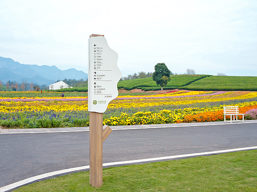 武义花田美地 | 超绝花海山水田园