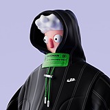 一只烂鱼的头像