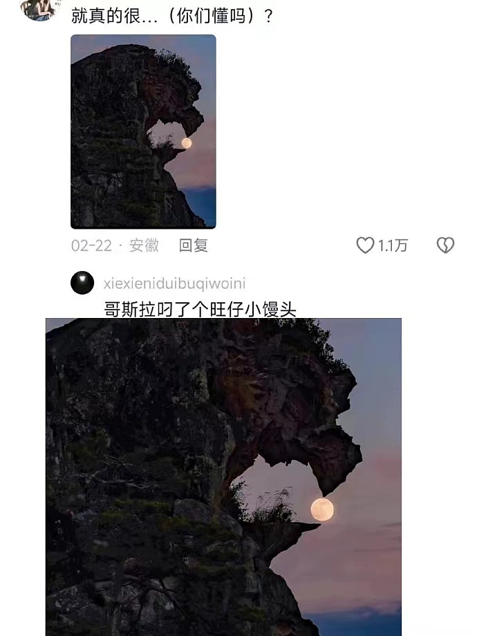 那些网友随手一拍即封神的照片!每一张都绝绝子!