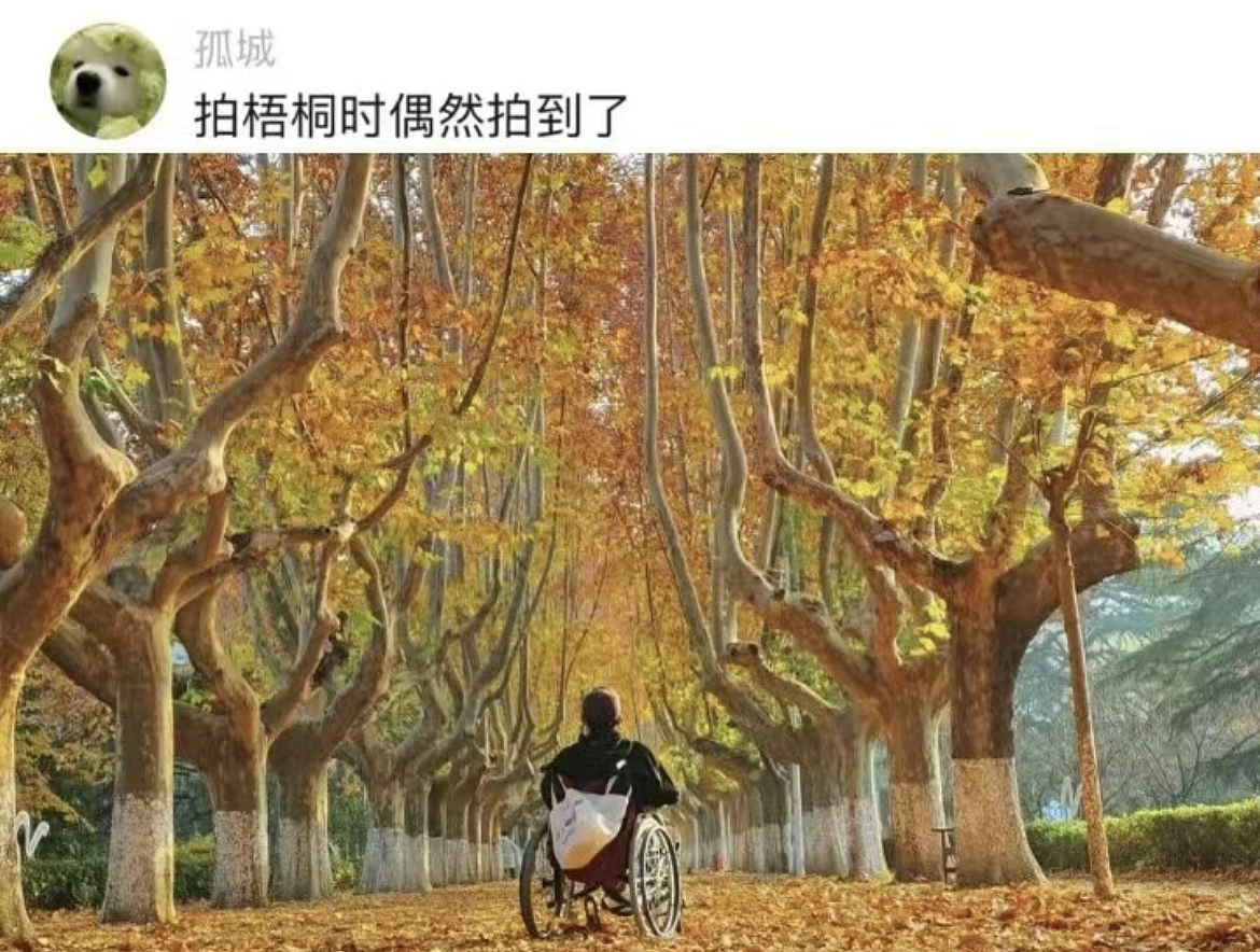 那些网友随手一拍即封神的照片!每一张都绝绝子!