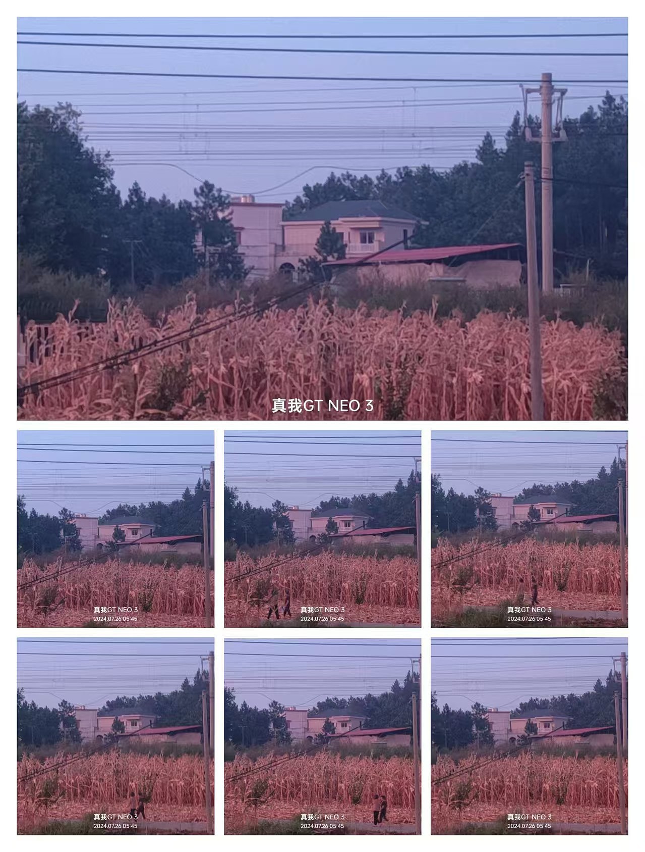 2024年夏季手机摄影合集（图ZMzc1ODY0NDI4） - 其他摄影 - 站酷设计师破绽_zy原创素材 - 站酷ZCOOL