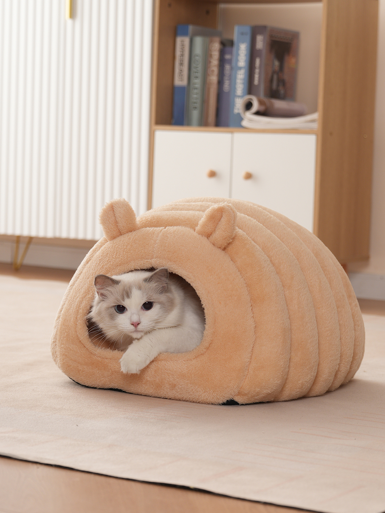 宠物猫产品摄影狗用品拍摄静物拍照视频主图亚马逊设计（图ZMzc1ODY4MzEy） - 产品摄影 - 站酷设计师零晨视觉摄影原创素材 - 站酷ZCOOL