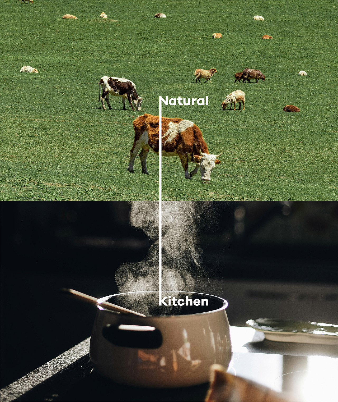 Natural Kitchen自然厨房预制汤品牌视觉全案设计（图ZMzc1ODc3ODAw） - 品牌 - 站酷设计师FungoDesign原创素材 - 站酷ZCOOL