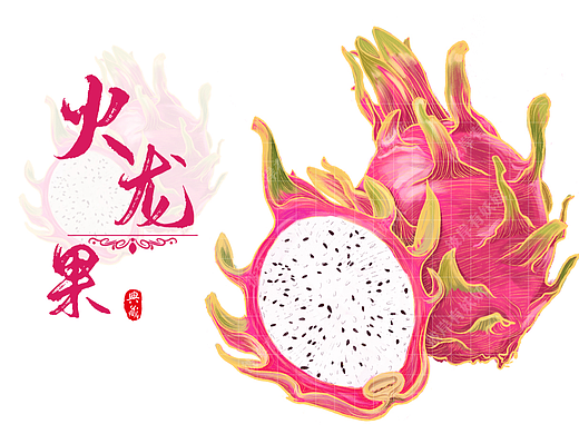 水果系列之火龙果