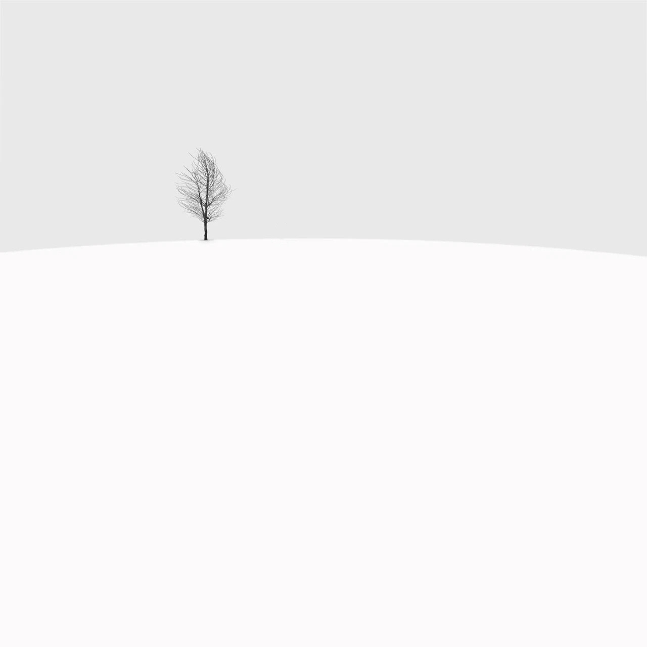 Joryn吴的个人主页（封面预览） - 主页封面设置 - 站酷设计师Joryn吴原创素材 - 站酷ZCOOL