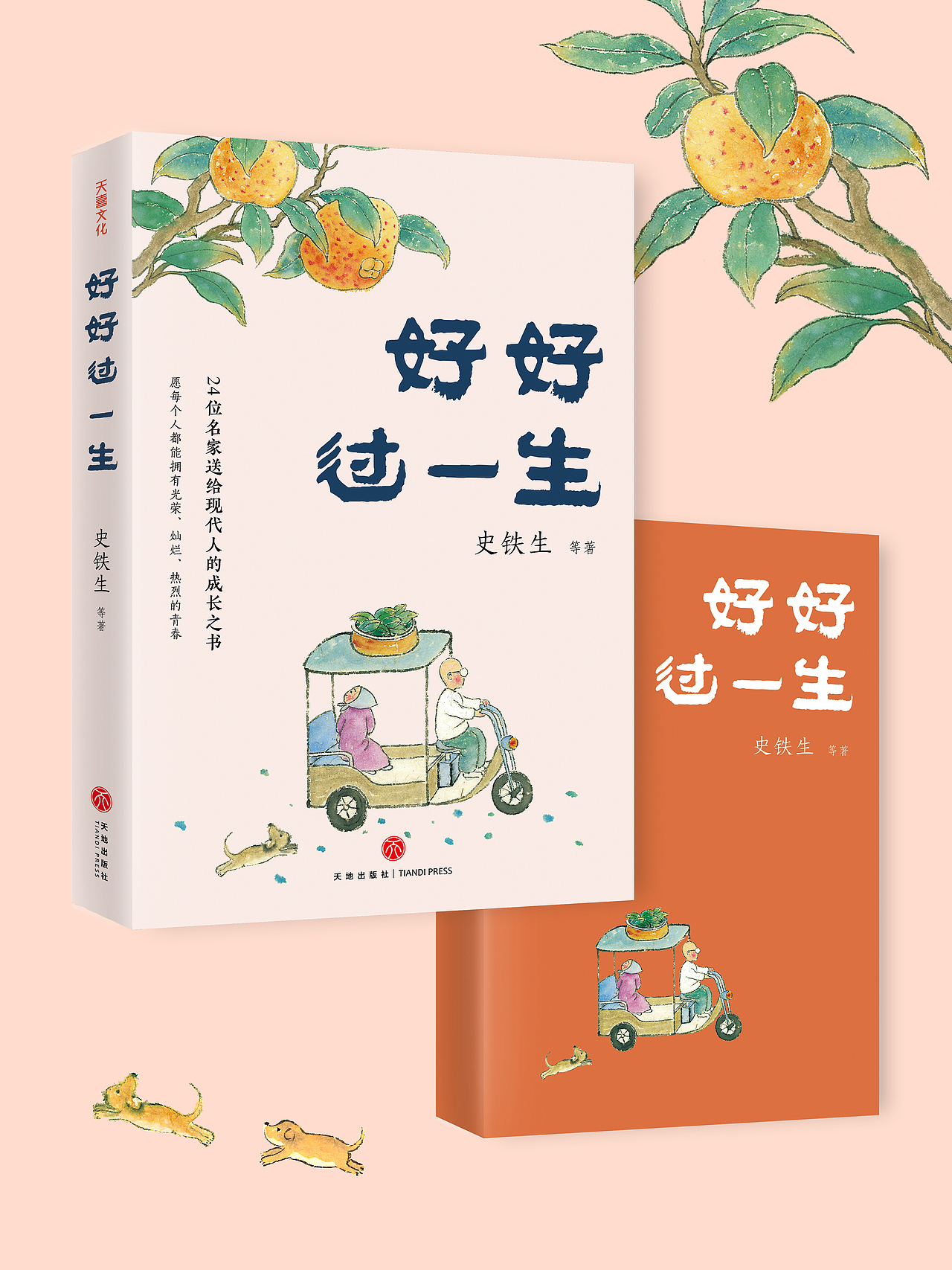 人间欢喜系列名家散文集 封面设计