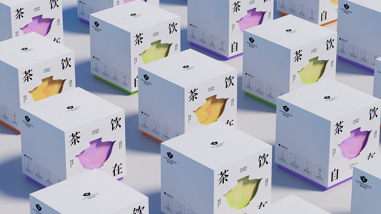 茶饮自在 | 养生茶包装设计