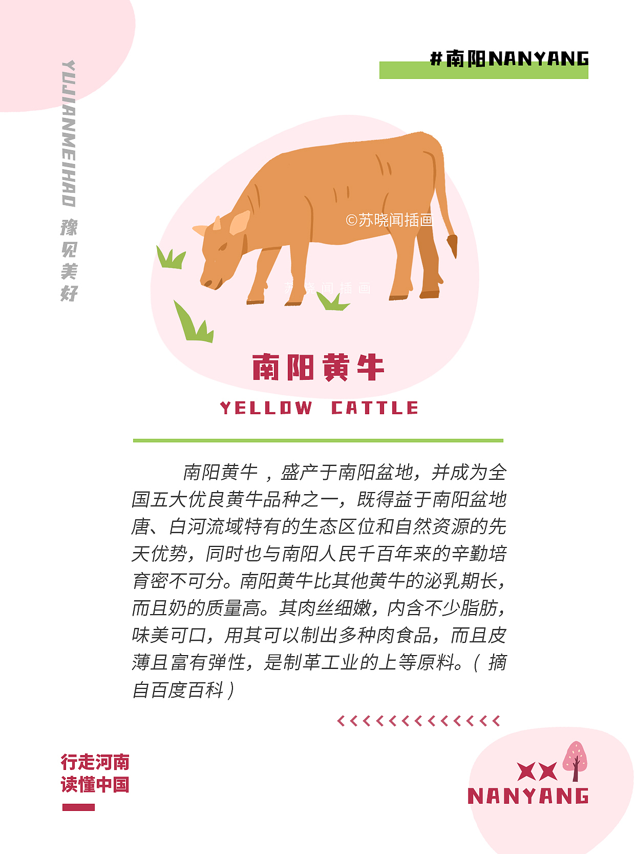 城市手绘地图插画-开封|南阳|信阳