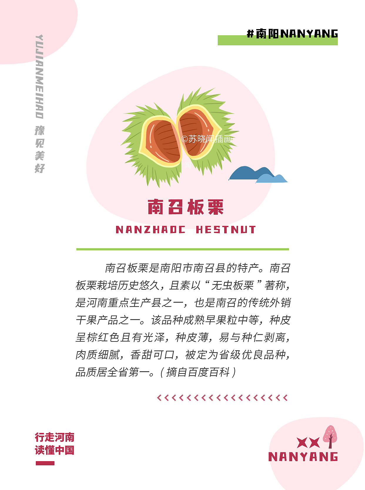 城市手绘地图插画-开封|南阳|信阳