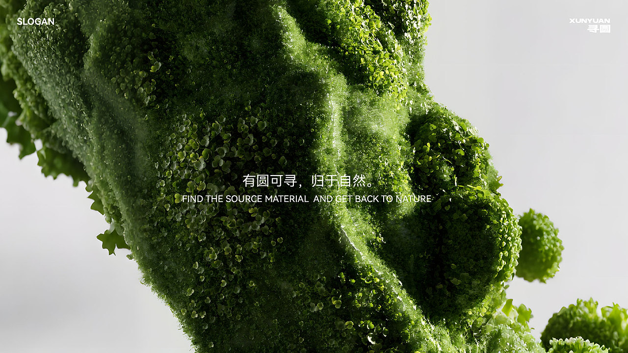xunyuan寻圆|品牌设计