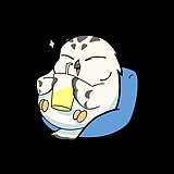 chen_dssss的头像