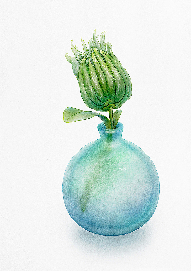 佛手果（图ZMzc2MDkxMTAw） - 创作习作 - 站酷设计师Oaim原创素材 - 站酷ZCOOL