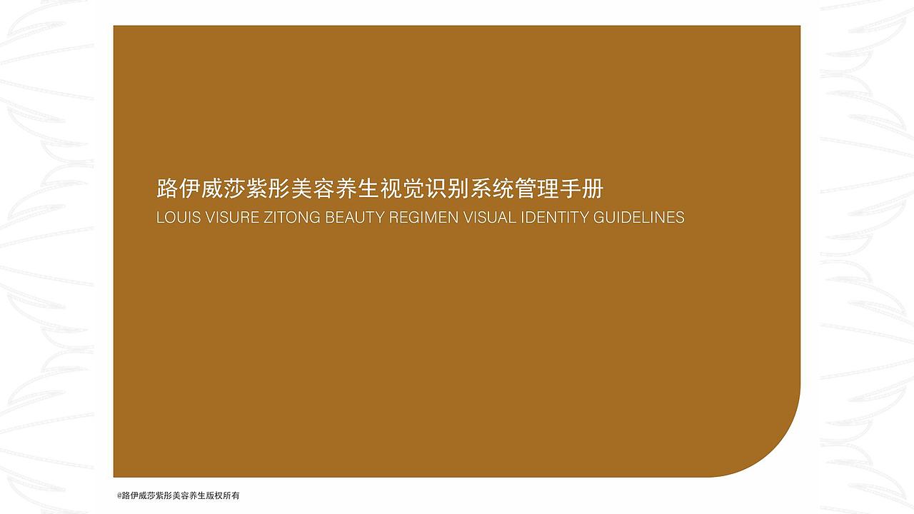 个人作品集-平面设计方向-“眼中有全景 手中有工作”(图ZMzc2MDk1NzEy) - 其他平面 - 站酷设计师杨施薇原创素材 - 站酷ZCOOL