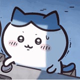 青猫z的头像