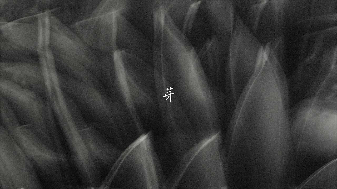 泾渭茯茶（图ZMzc2MTMxMTQ4） - 包装 - 站酷设计师梵谷品牌设计原创素材 - 站酷ZCOOL