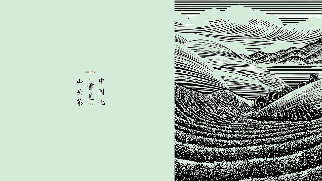 泾渭茯茶（图ZMzc2MTMxMTc2） - 包装 - 站酷设计师梵谷品牌设计原创素材 - 站酷ZCOOL