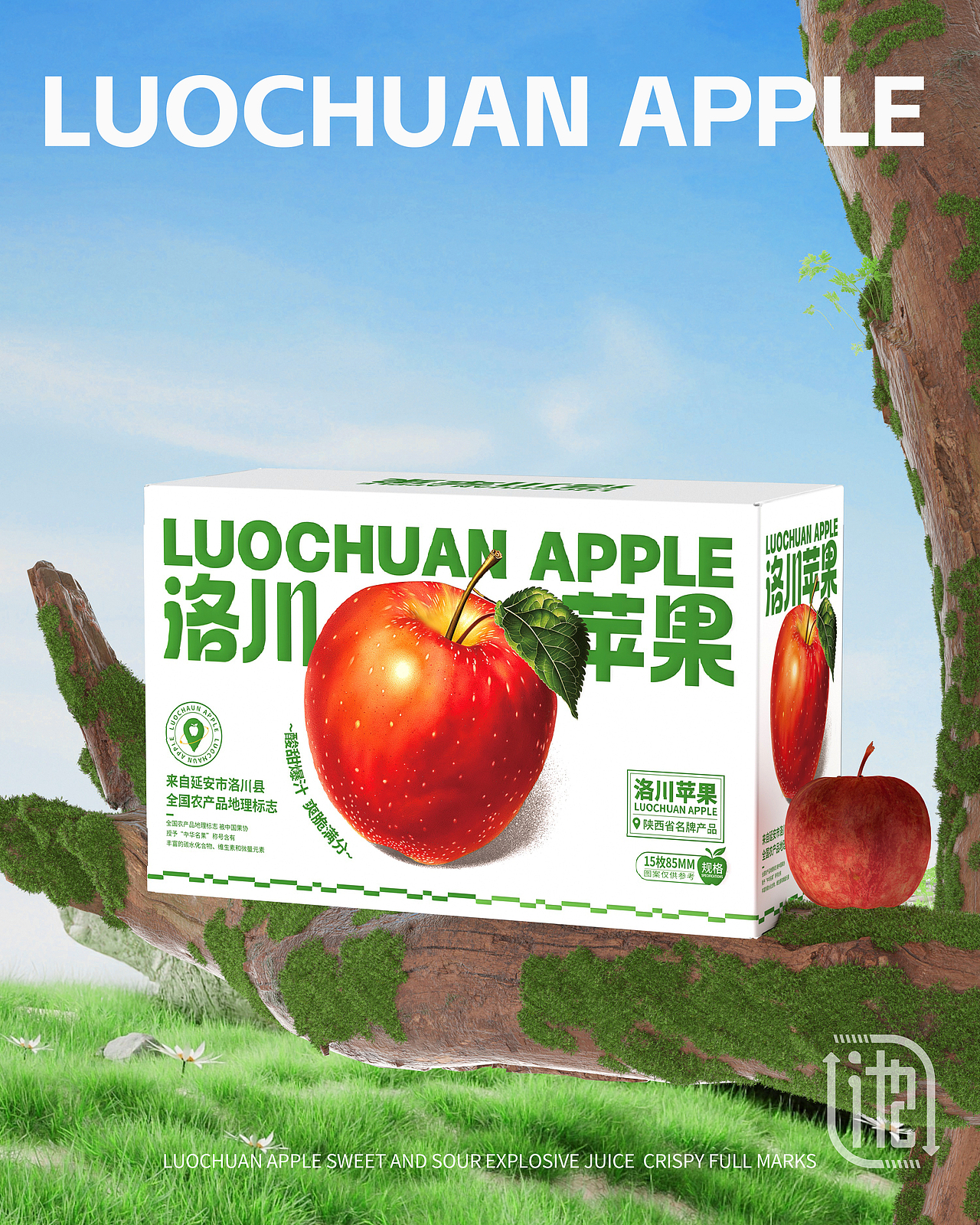 洛川苹果包装设计丨原创包装设计（图ZMzc2MTUxNTYw） - 包装 - 站酷设计师小池又沐风原创素材 - 站酷ZCOOL