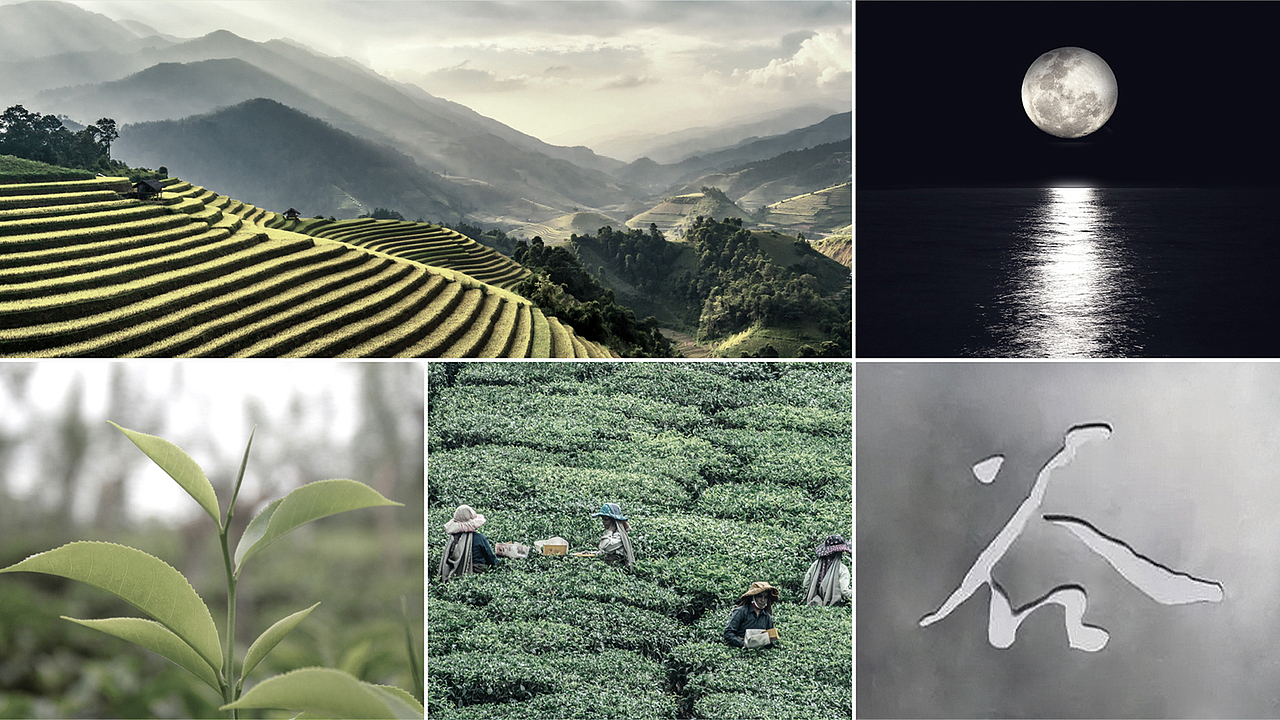 茶叶品牌LOGO设计