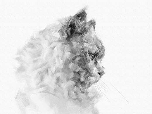 猫素描（个人主页-ZNzAzMDU5ODg=） - 绘画 - 站酷设计师cuin62原创素材 - 站酷ZCOOL