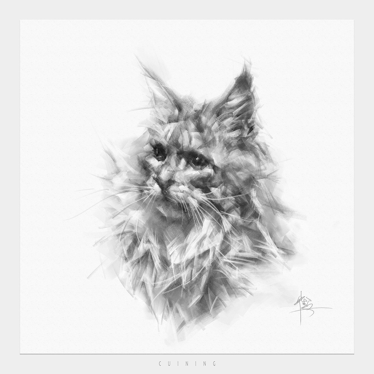 猫素描（图ZMzc2MTUxOTgw） - 绘画 - 站酷设计师cuin62原创素材 - 站酷ZCOOL